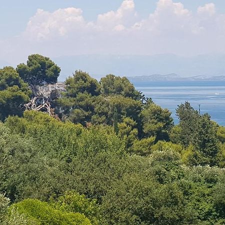 Mon Repos Panorama Apartment Corfu  Bagian luar foto